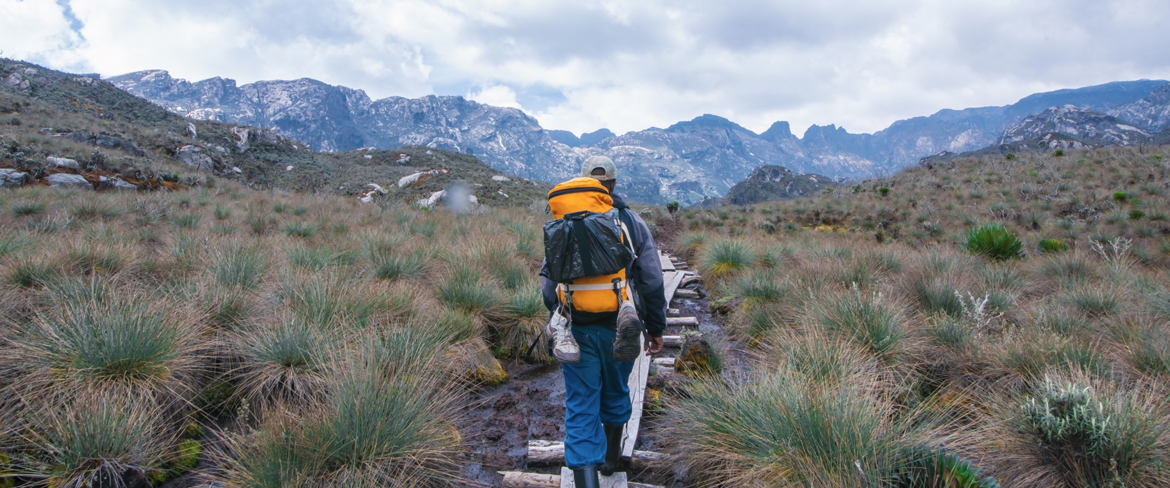 Every Trail Leads to Adventure