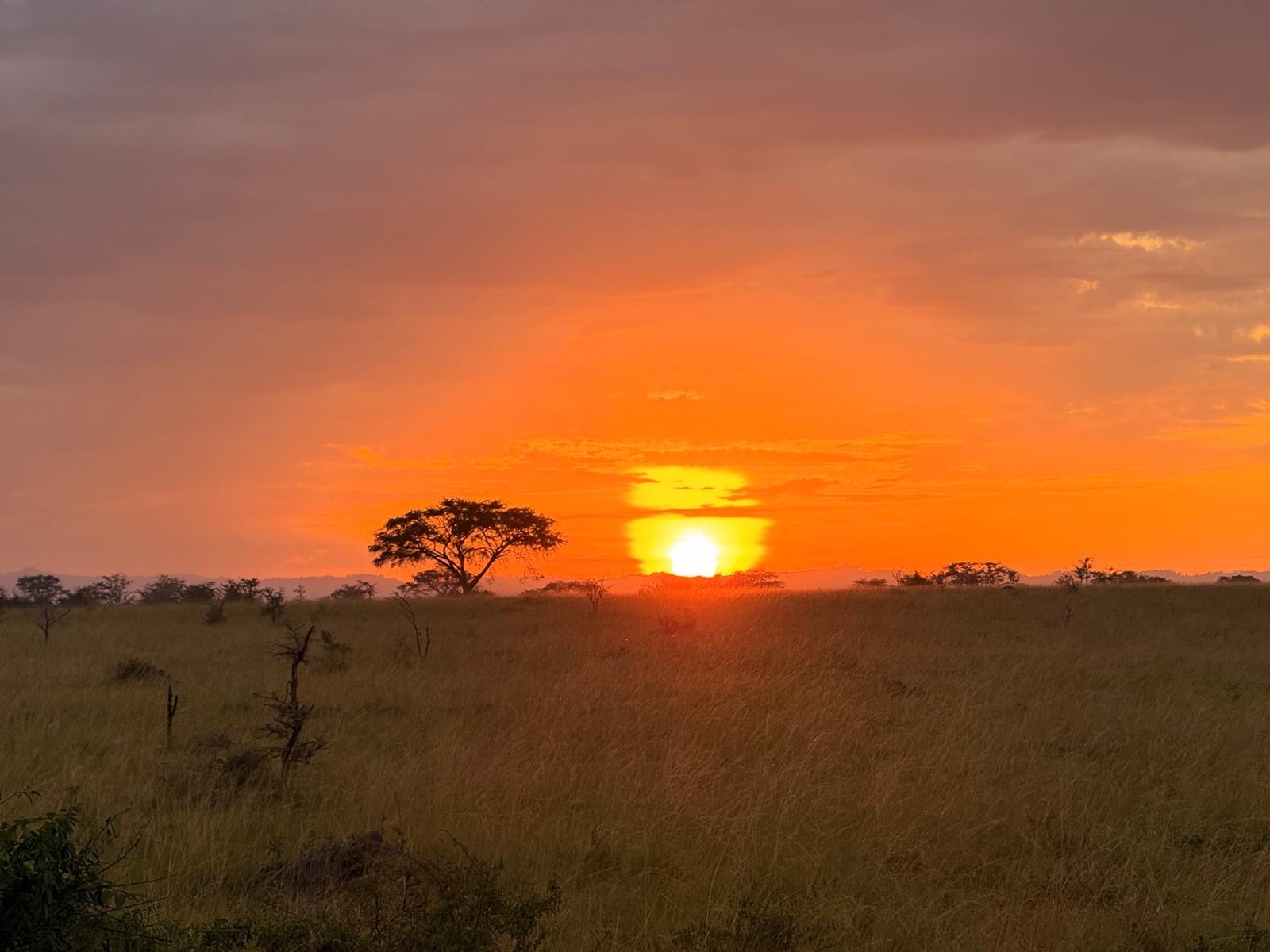 Naseeb Safaris uganda
