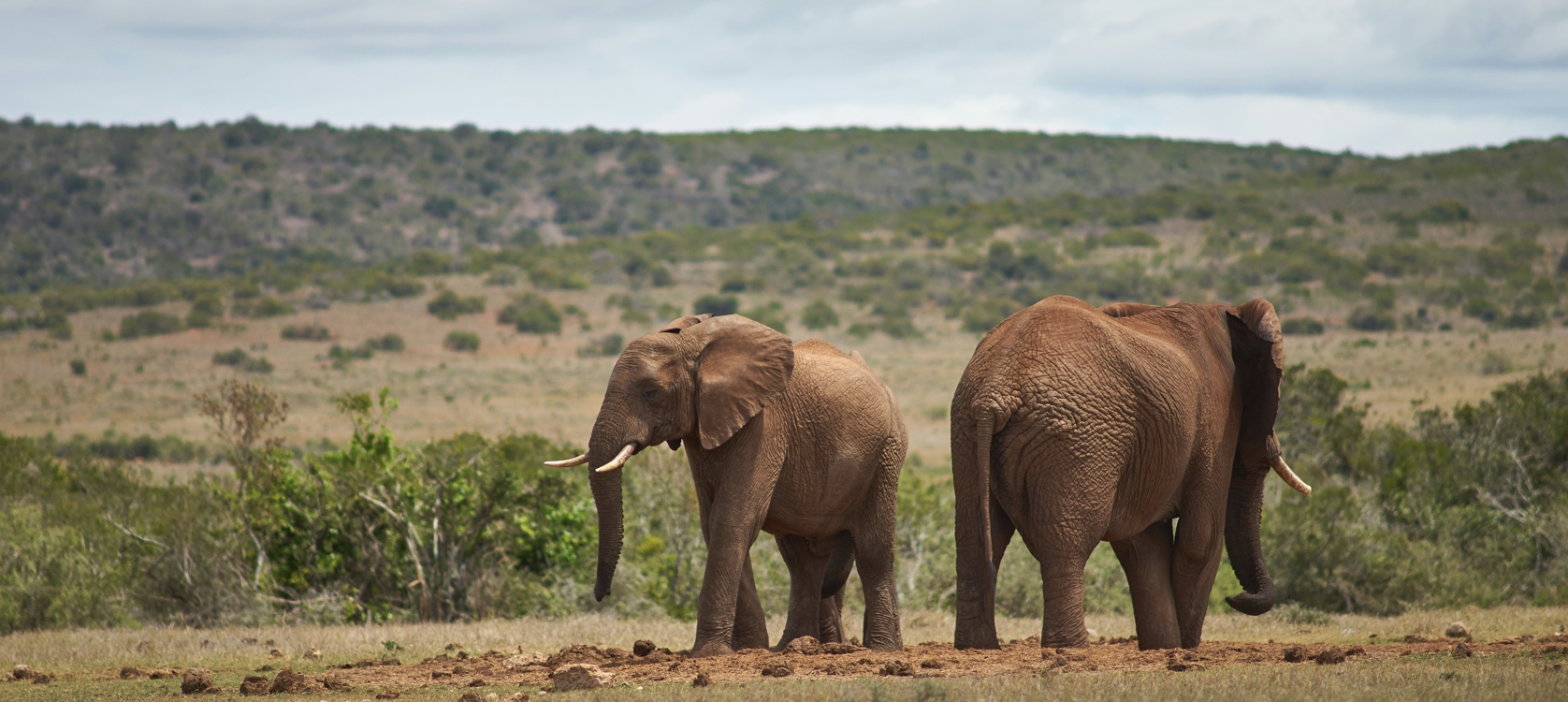 18-Day Total Uganda Adventure Experience