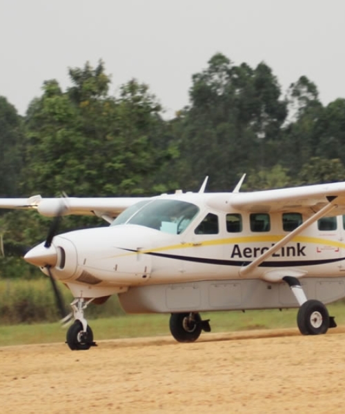 3-Day Fly in Uganda Gorilla Tracking Safari