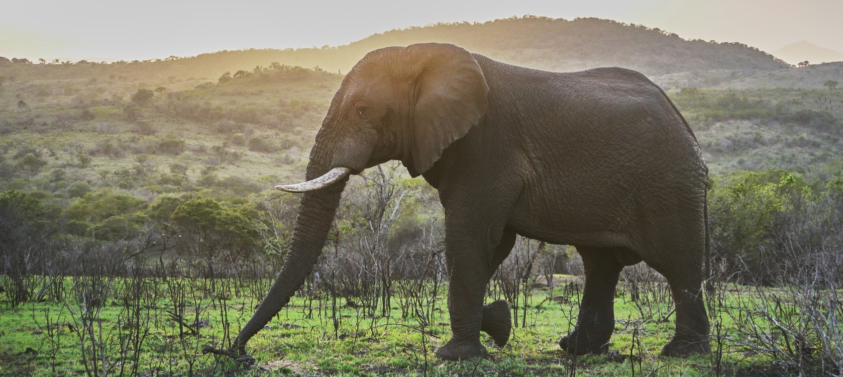 5-Day Kidepo Valley National Park Wildlife & Cultures