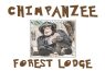 Chimpanzee Forest Lodge
