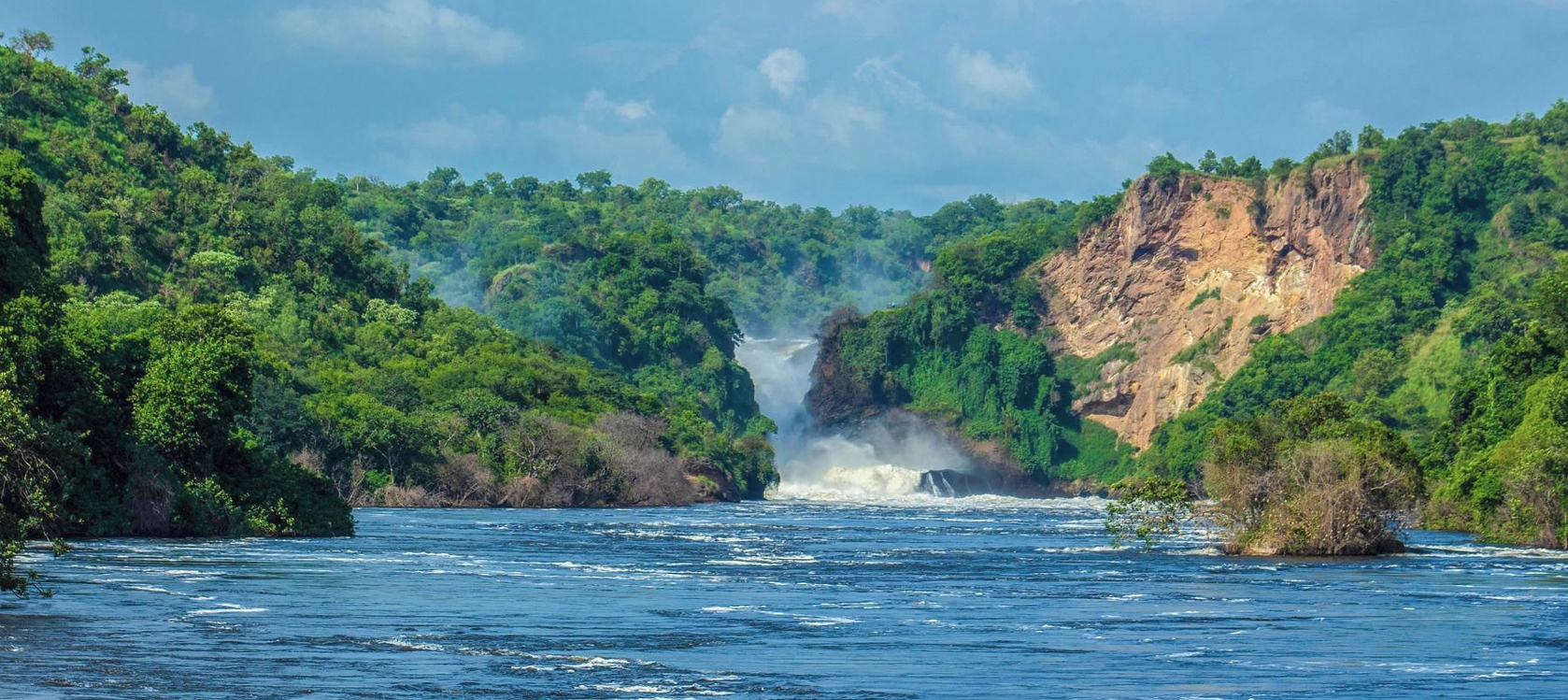 Your Journey Through Uganda's Primates and Untamed Wildlife
