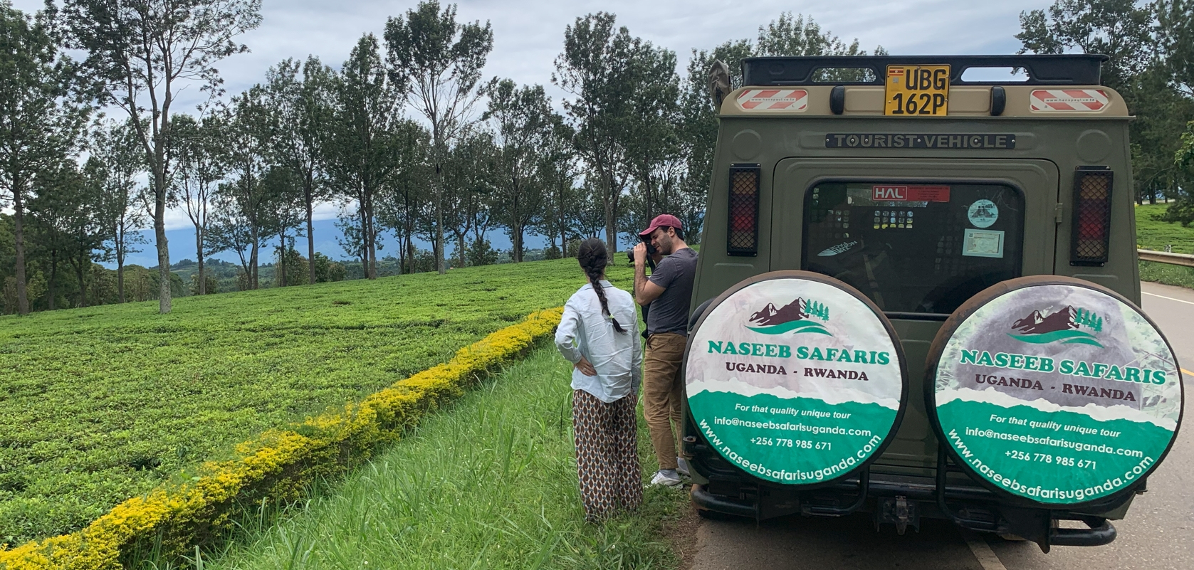 Tourist taking a photo of green tea plantation