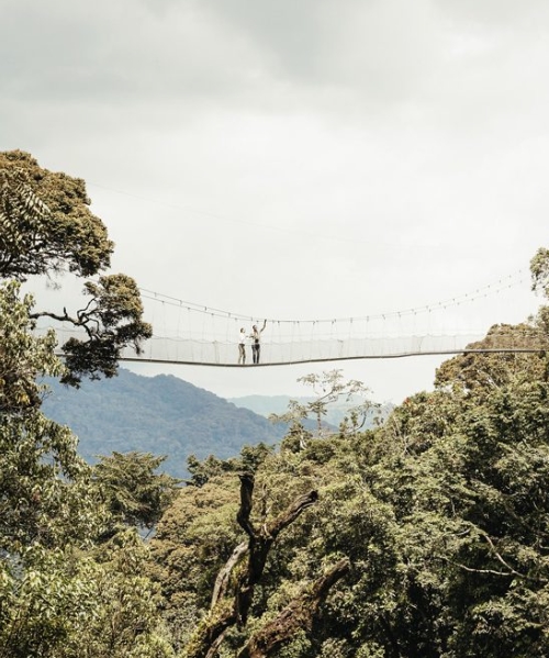 6-Day Rwanda’s Primates and lake kivu safari