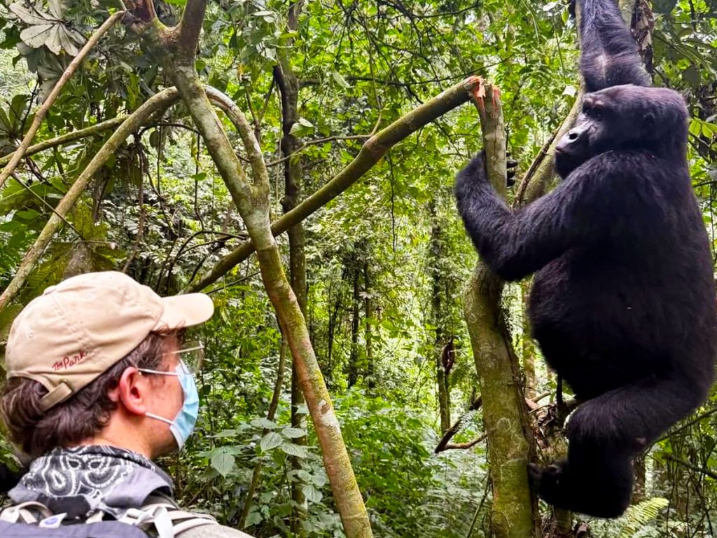 7-Day Uganda Safari Itinerary with Gorillas & Chimps