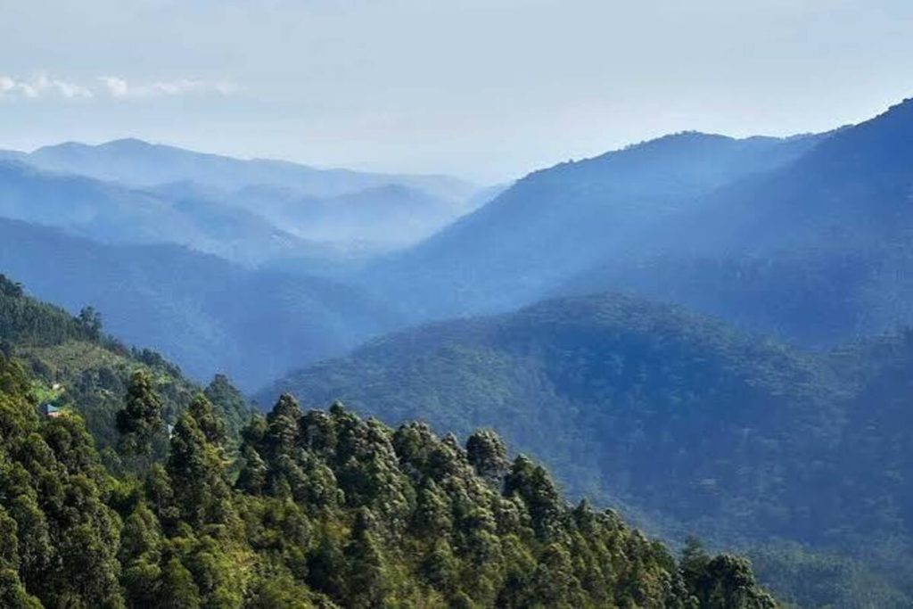 Bwindi Impenetrable National Park - Gorilla Trekking
