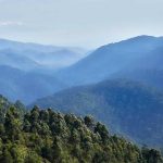 Bwindi Impenetrable National Park - Gorilla Trekking