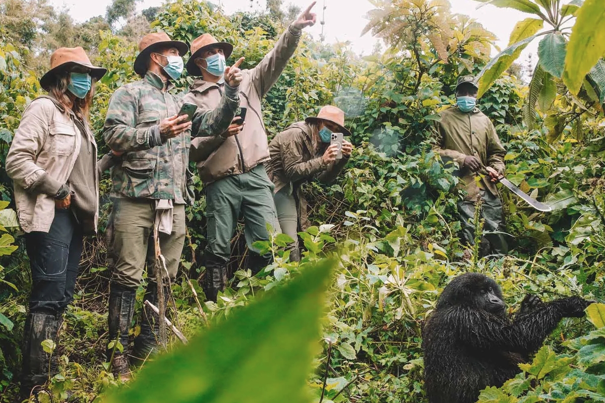 How Difficult Is Gorilla Trekking in Uganda
