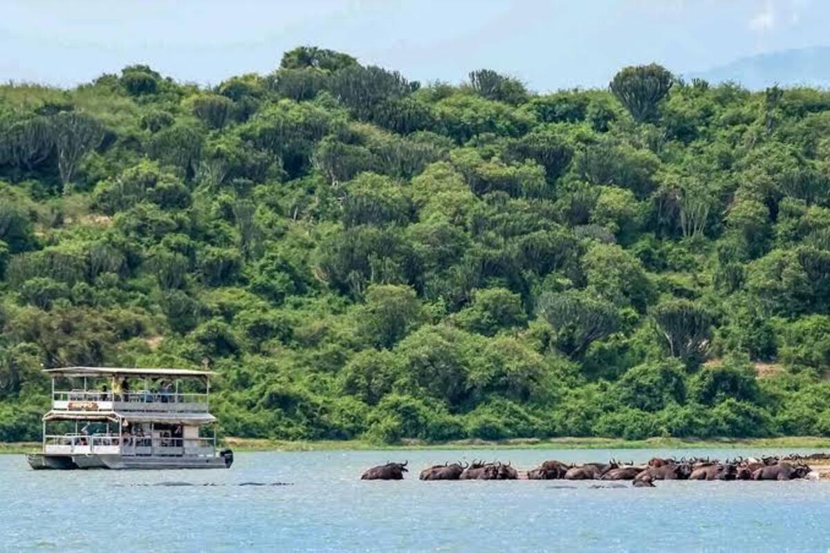Kazinga Channel Boat Cruise - Queen Elizabeth National Park
