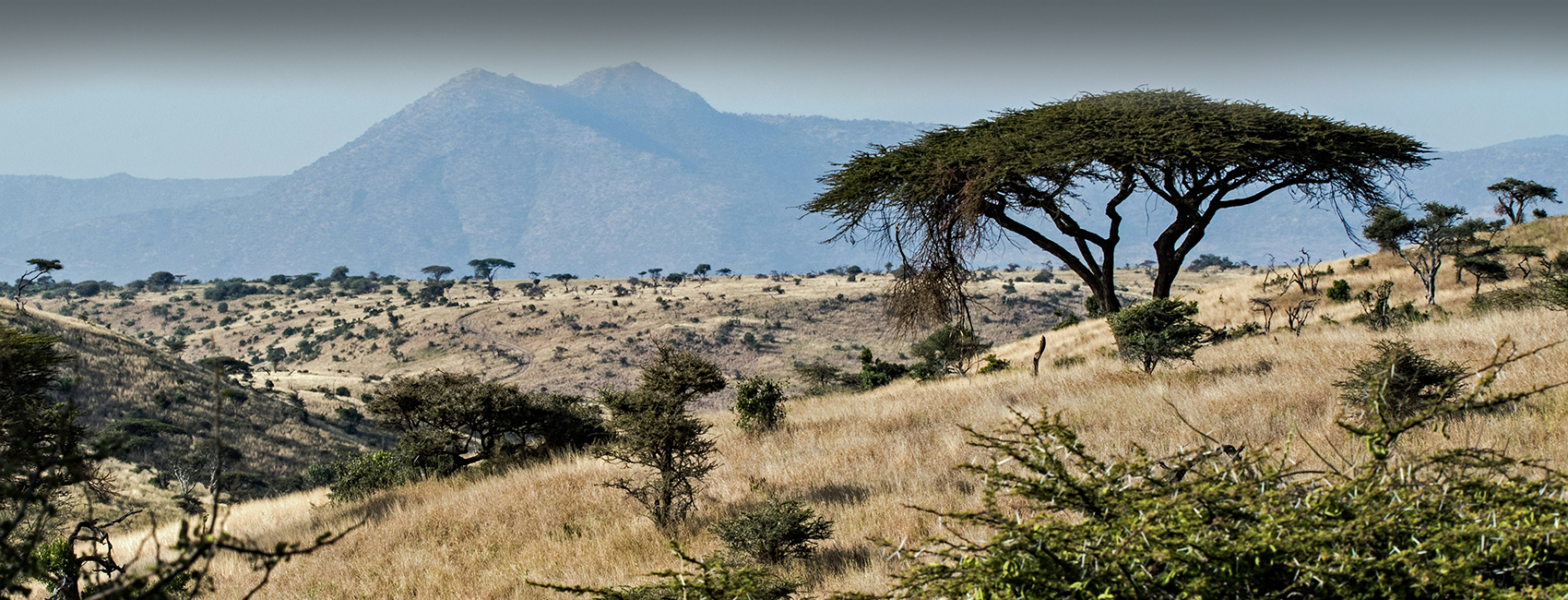 Naseeb safaris uganda with Wildlife Tours
