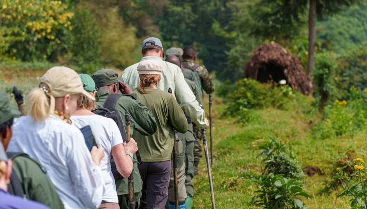 What to pack for Gorilla Trekking in Uganda & Rwanda