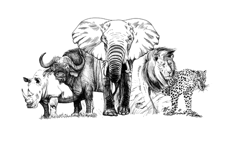 big-african-five-animal-hand We'll Make It Extraordinary
