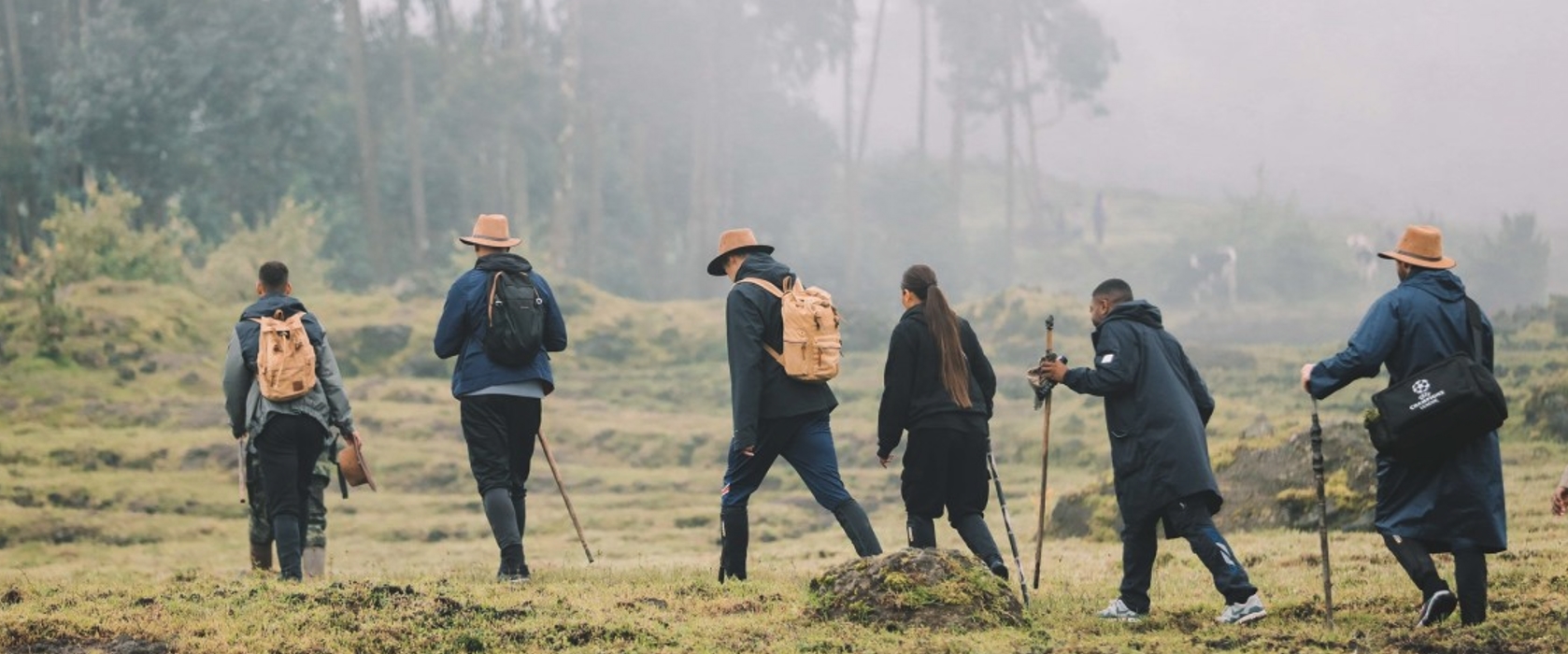A Walk Through The Wild, That Brings You Closer To Nature