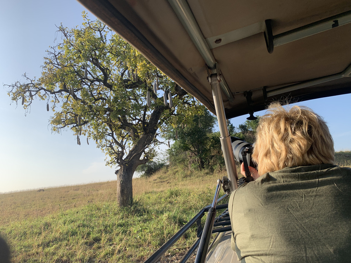 A photographer using a long lens during a morning game drive.