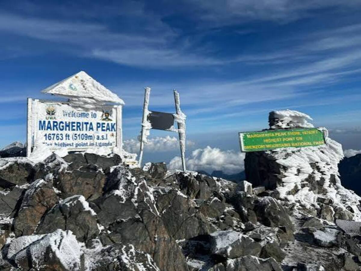 Highest point of Rwenzori mountains Margherita peak