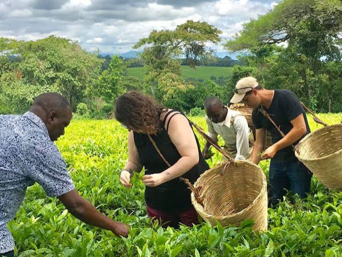 Isunga Cultural Community - A Cultural and Landscape Experience