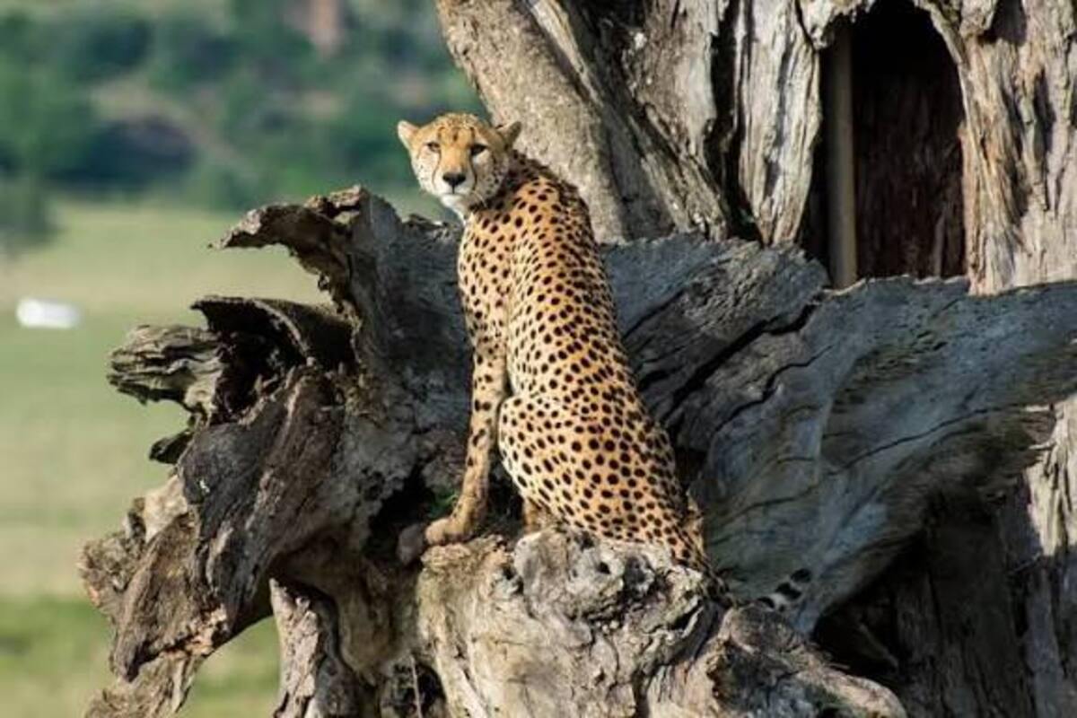Kidepo Valley National Park - Uganda's Remote Safari Frontier