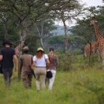 Lake Mburo National Park Travel Guide - Wildlife, Walking Safaris