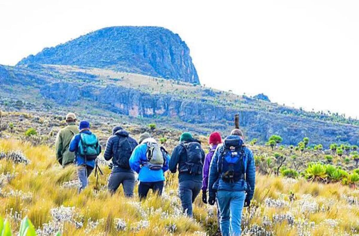 Mountain Elgon National Park - Hiking, Wildlife, Sipi Falls and Culture