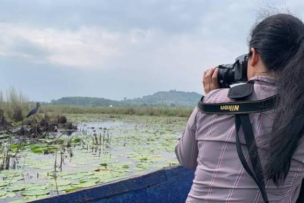 Tourist taking a photo of the shoebill