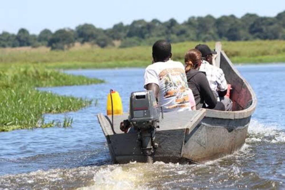 A traditional canoe moving quietly through Mabamba's papyrus channels
