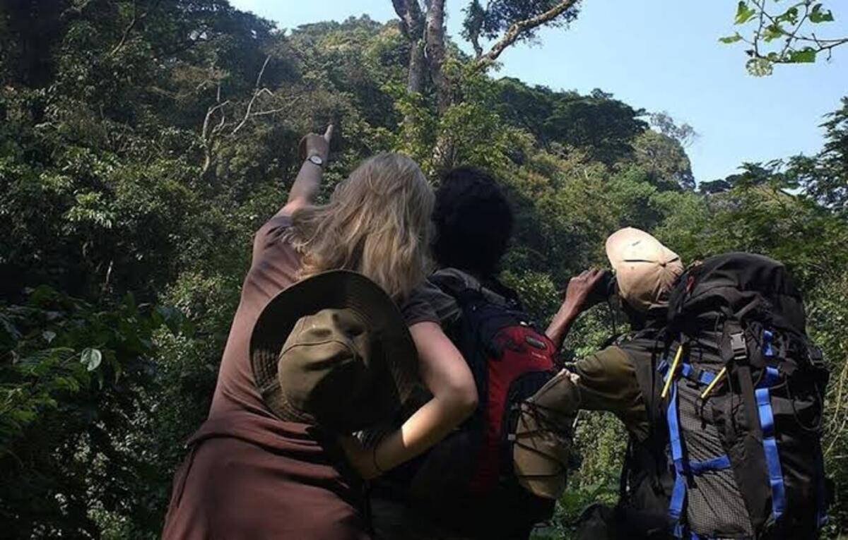 A local birding guide quietly identifying a bird while visitors watch