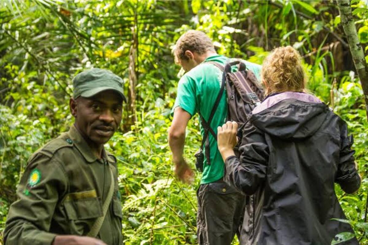 A ranger leading trekkers