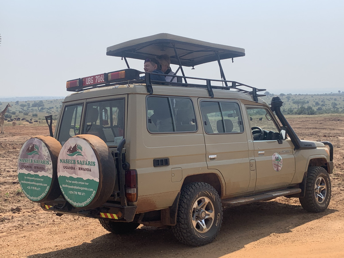 big five in a Jeep