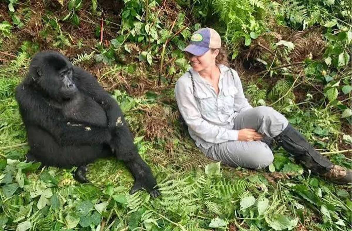 Gorilla Encounter