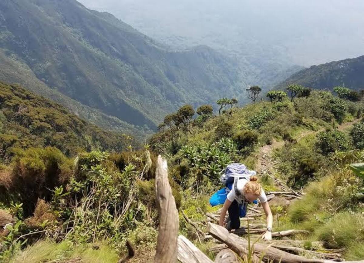 Mgahinga Volcanoes