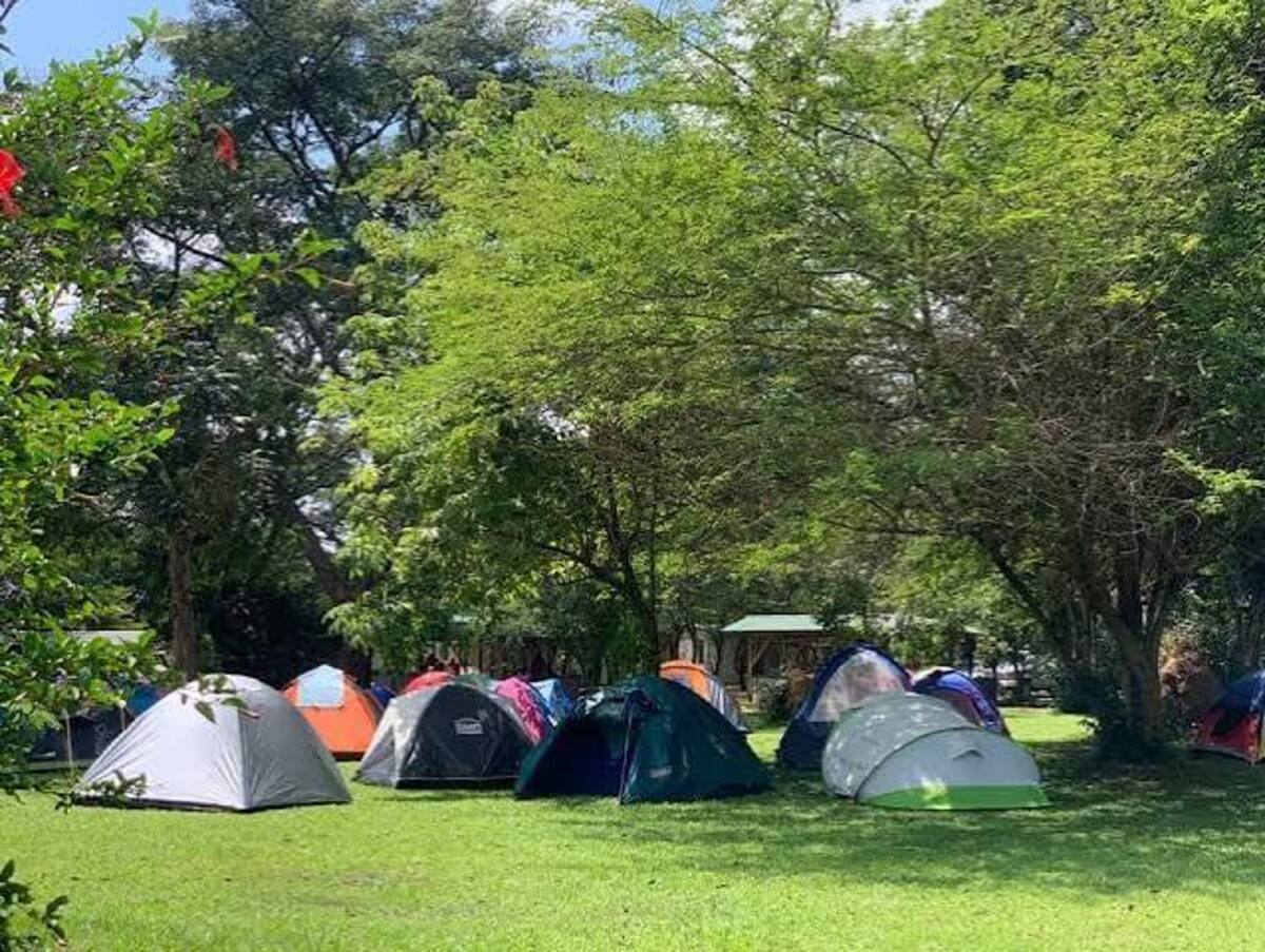 camping area beside the Nile