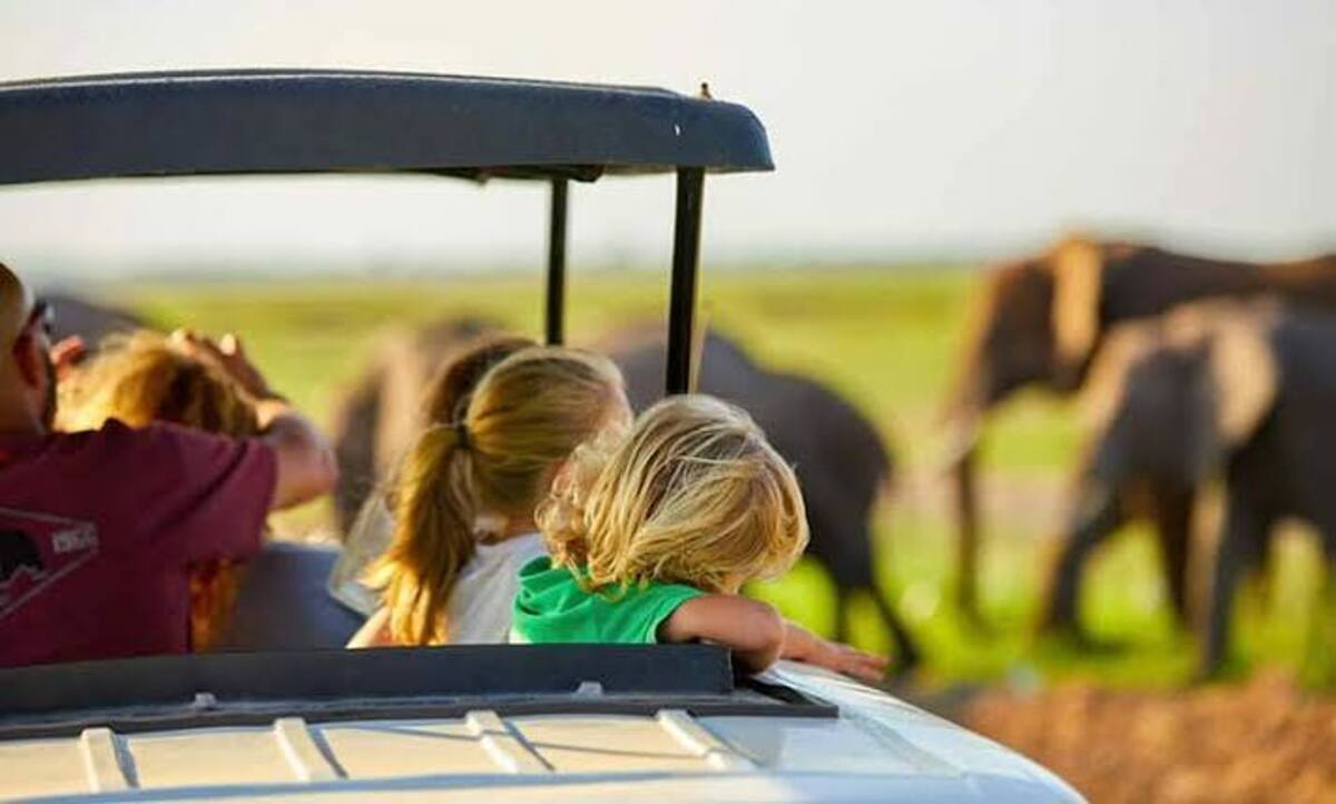family inside a safari vehicle