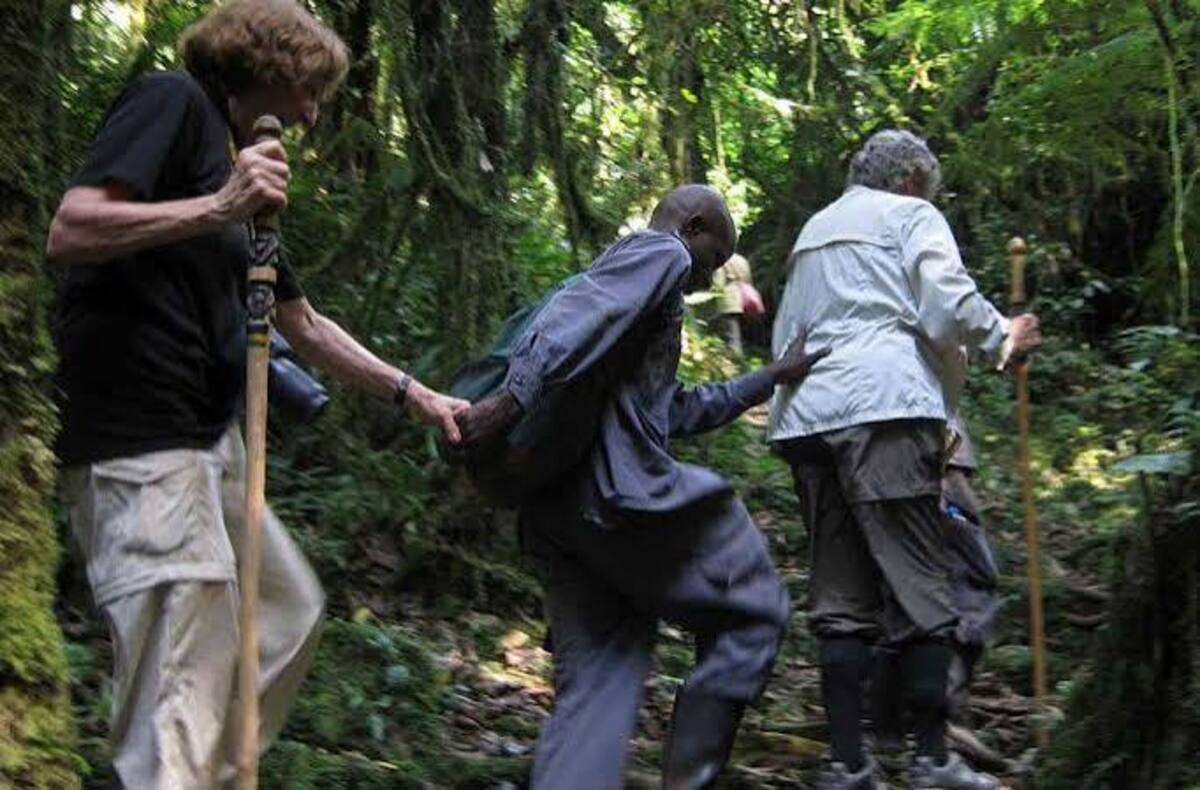 A porter assisting a traveller on a steep, muddy section of Bwindi trail